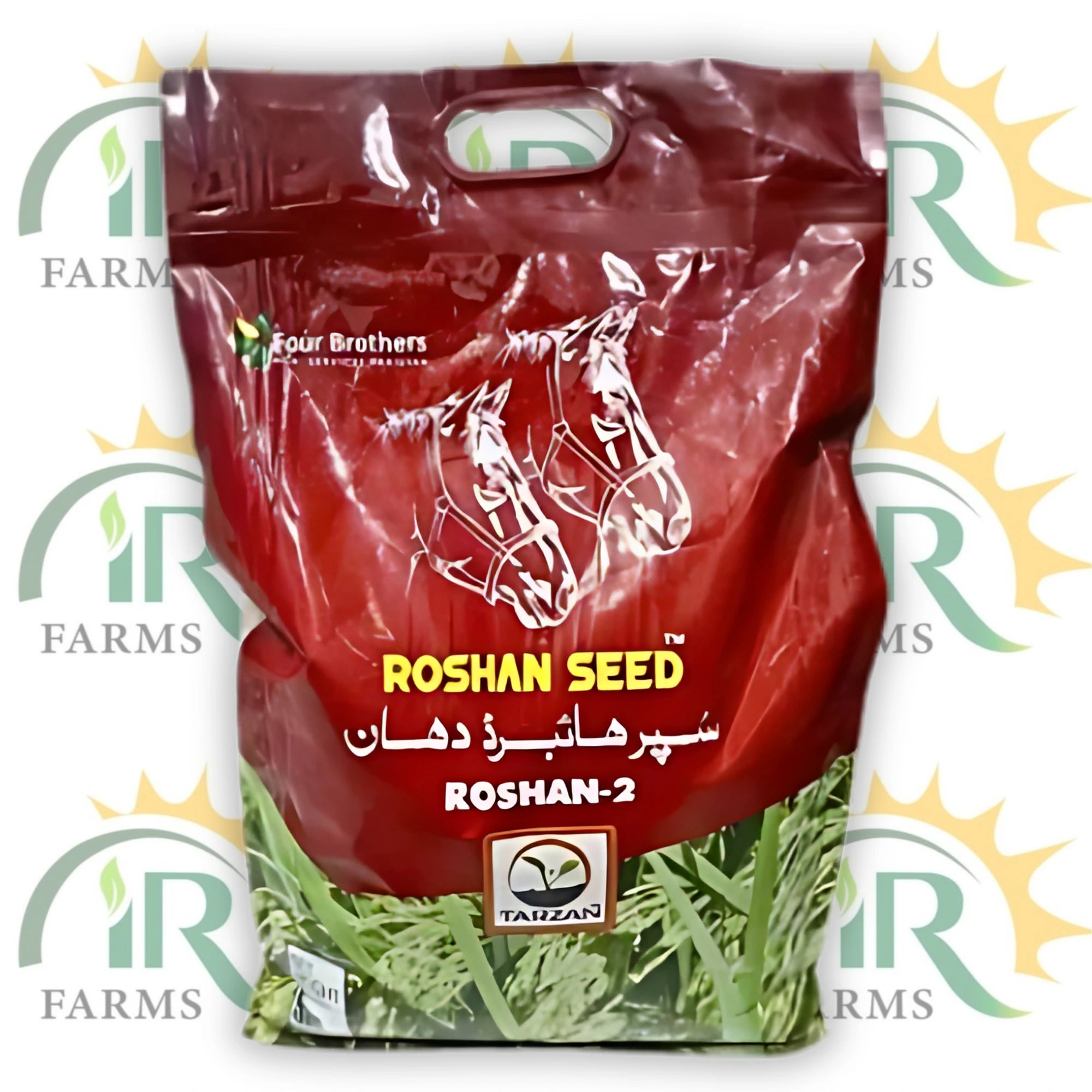 Roshan-2 Hybrid Rice Seed (5kg Bag) – High-Yield Paddy by Four Brothers (Tarzan Series)