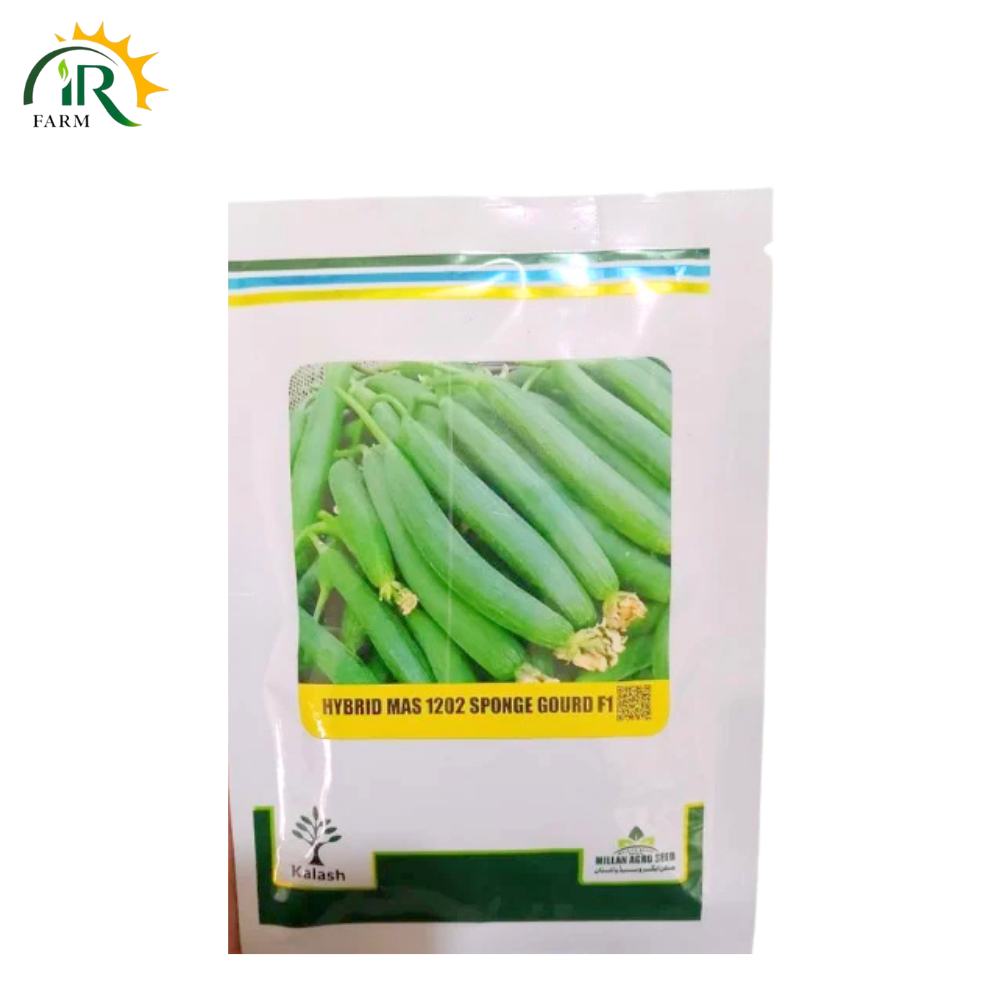 Hybrid Sponge Gourd Seed F1 MAS