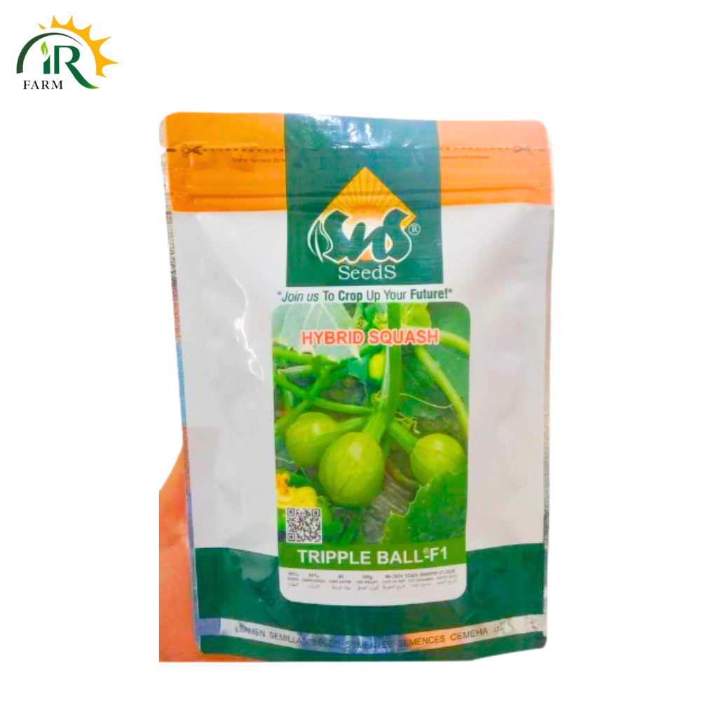 Hybrid Squash Triple Ball F1 Seeds By SnS Seeds