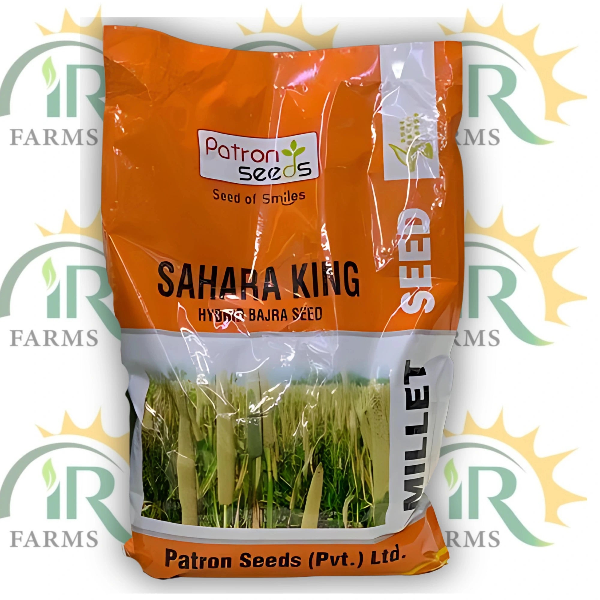 Hybrid Bajra Seed Pearl Millet Sahara King 2kg F1 Pakkawan Bajra Nuchem Patron