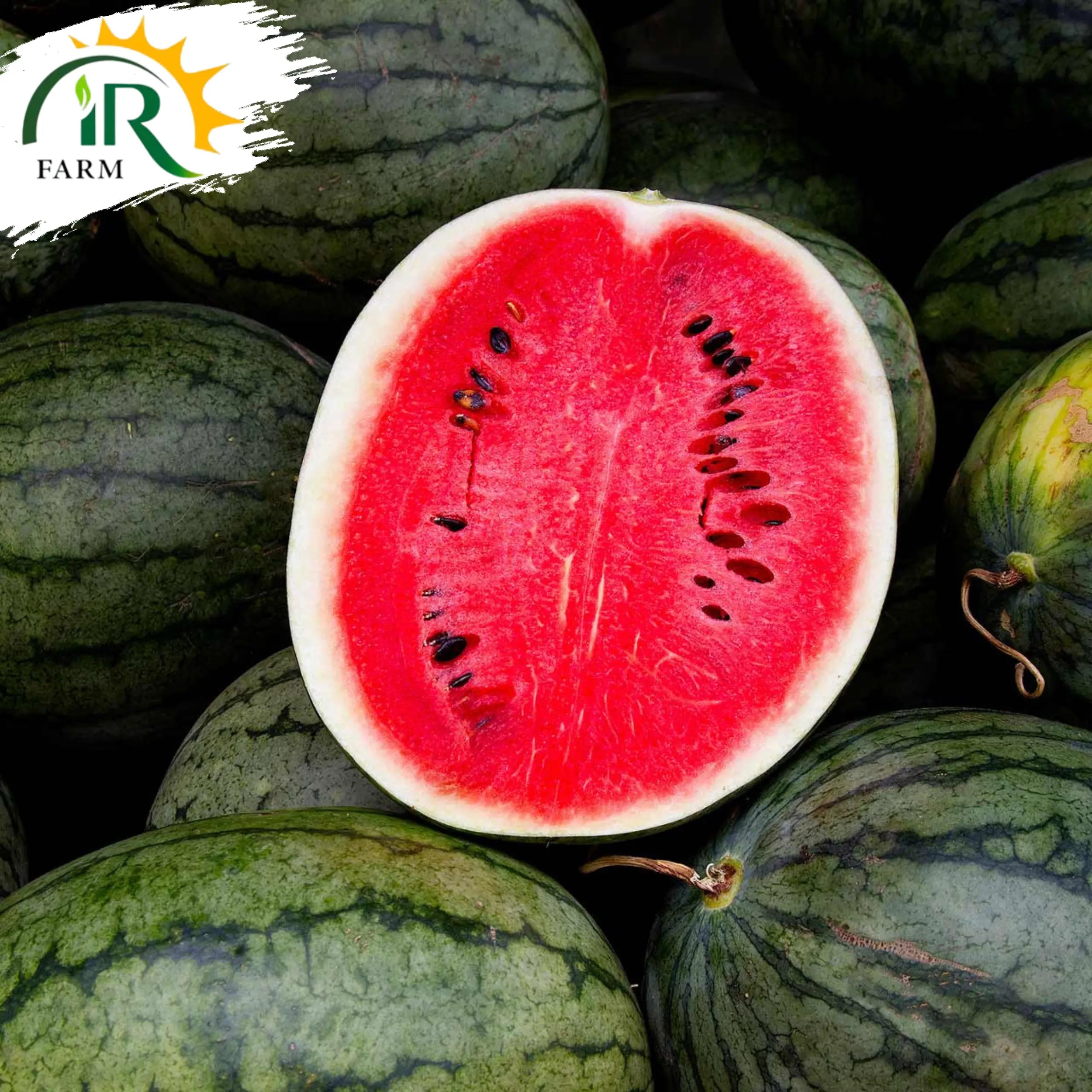 1431 Advanta F1 Hybrid Watermelon Seeds – 50gm | ICI Pakistan LCI | High Yield Sweet Red Melon