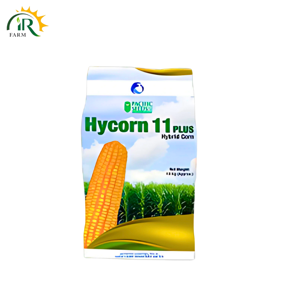 Hycorn 11 Plus 10KG – Hybrid Corn Seed for Silage & Grain | ICI Advanta Pacific Seeds