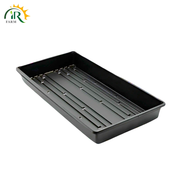 Hydroponic Seedling tray
