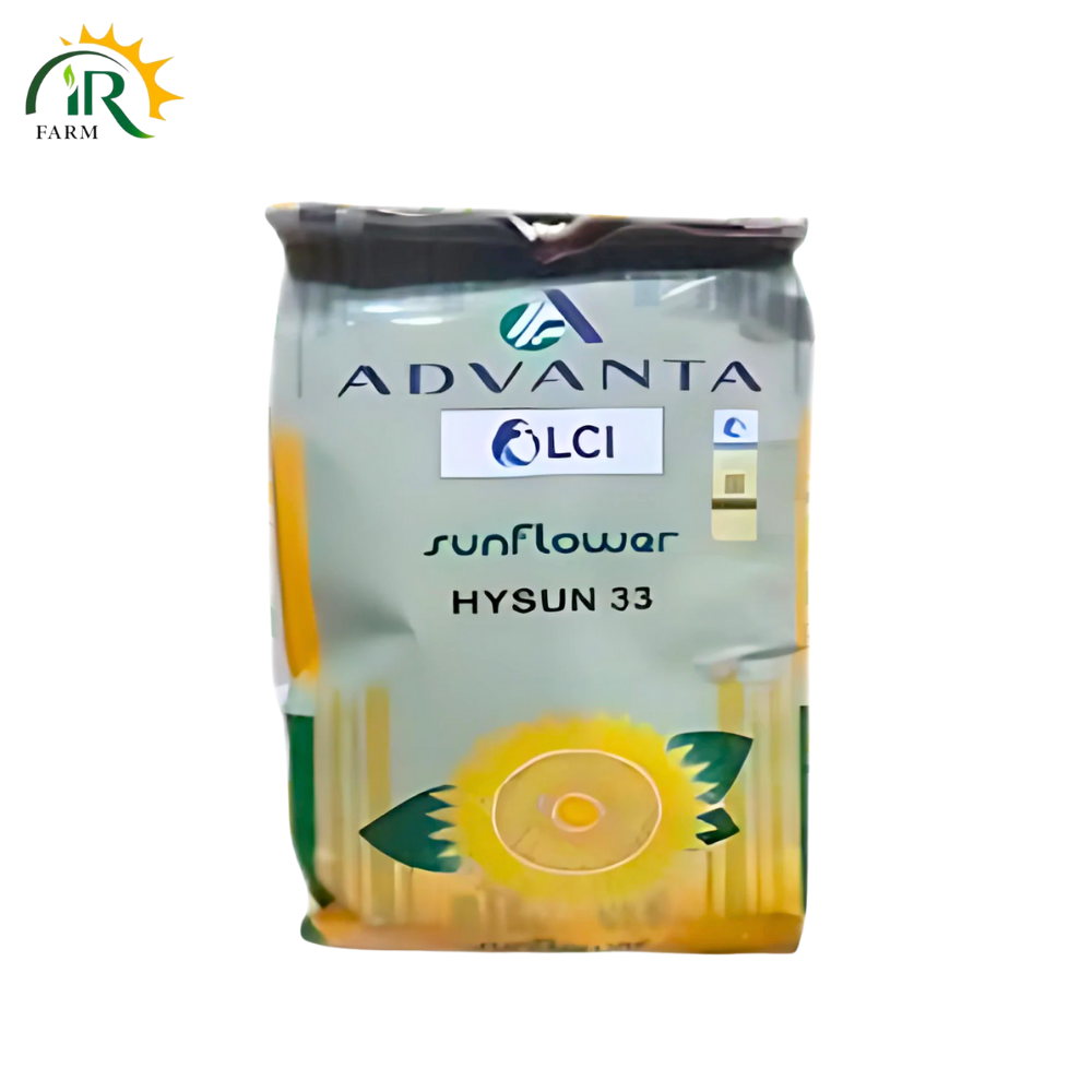 Hysun 33 / T40318 / Hysun 39 – 2kg F1 Hybrid Sunflower Seed by ICI | High Yield Suraj Mukhi Beej (LCI Pakistan)