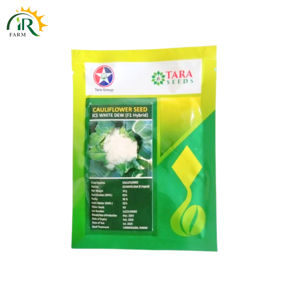 ICS White Dew F1 Hybrid Cauliflower Seed Tara Group