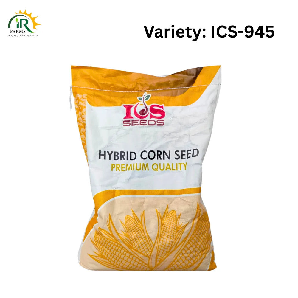 ICS-945 Hybrid Corn Seed