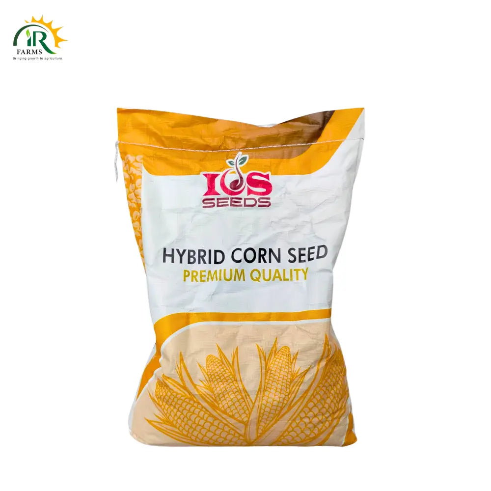 ICS Hybrid Corn Seed