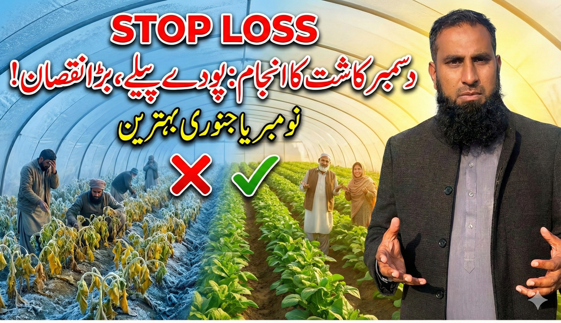 IR Farm | Best Online Agriculture Store In Pakistan