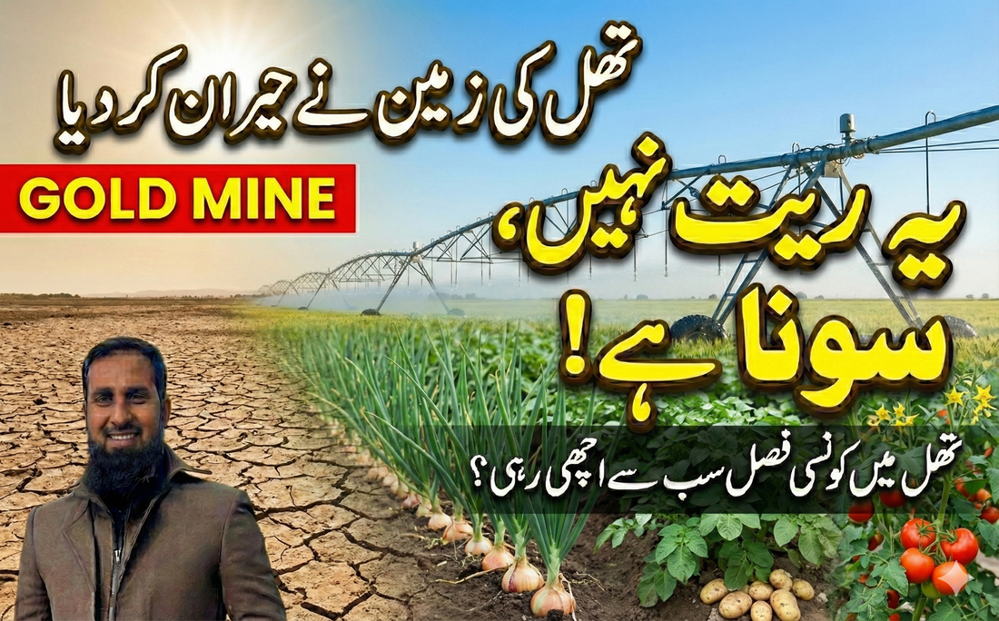 IR Farm | Best Online Agriculture Store In Pakistan