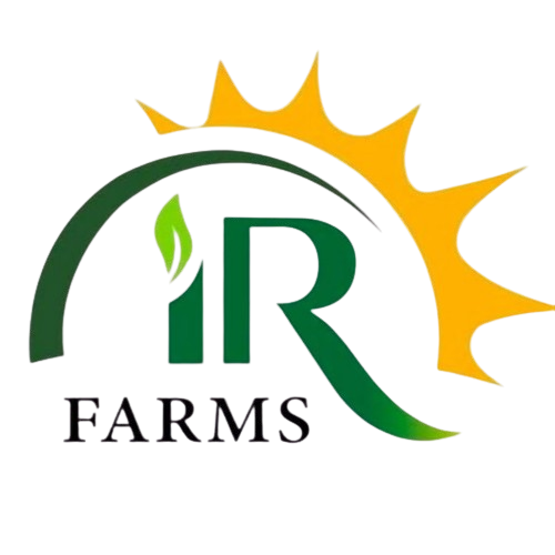 Footer Logo