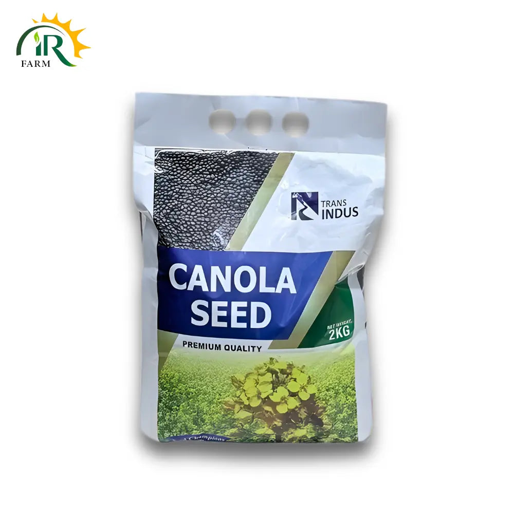 Indus Canola Seeds - Indus Canola 2kg Narc Sarsoon for High Yield and Oil Production