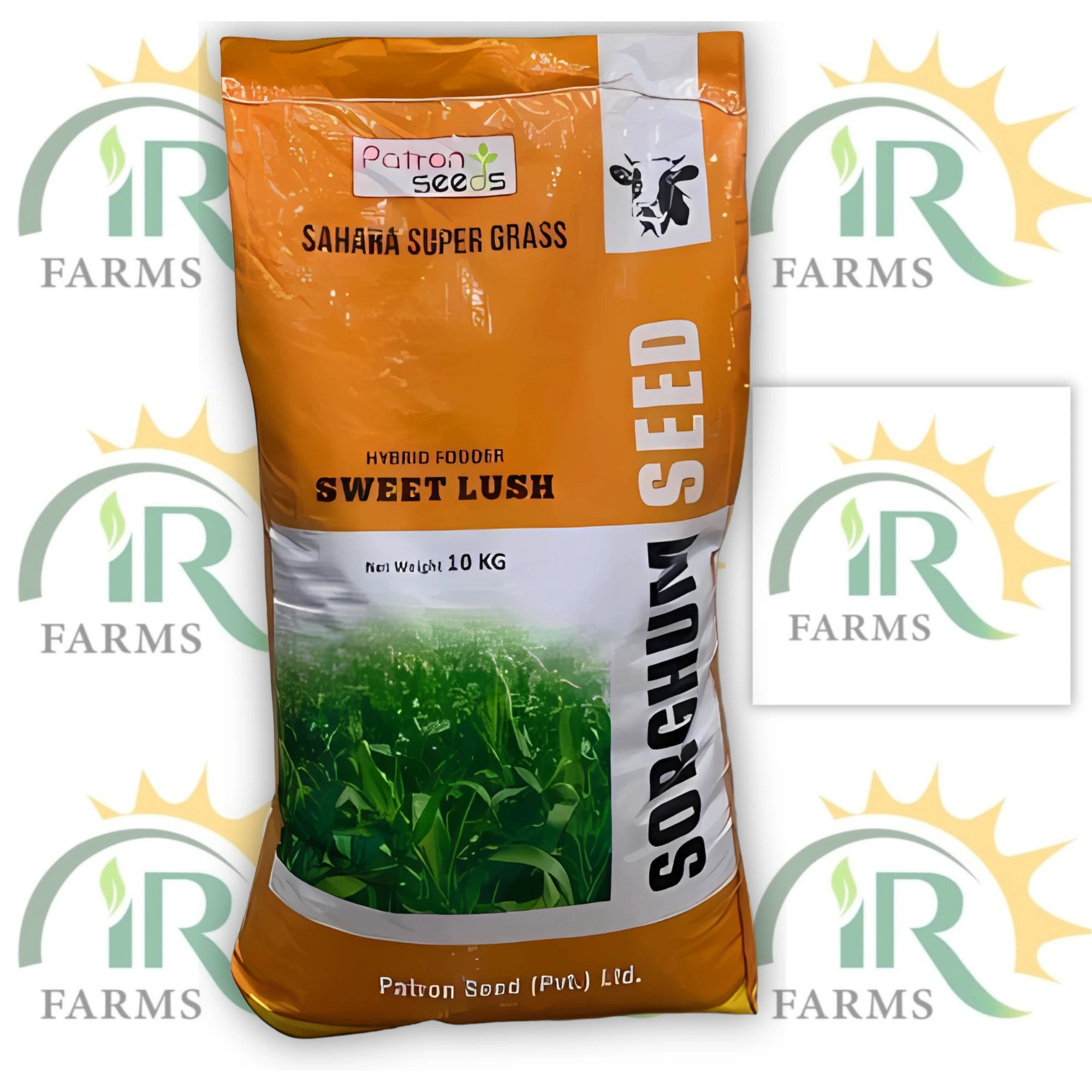 Jawar hybrid 10kg Sahara Super Grass Multicut Sorghum Sudan Grass with more leafs and proteins for animals Hybrid Fodder Sweet Lush Patron Seeds
