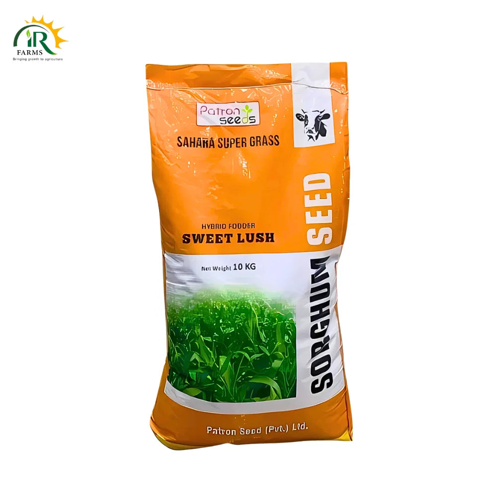 Jawar Hybrid Sahara Super Grass – High-Yield, Protein-Rich Multicut Fodder&nbsp;