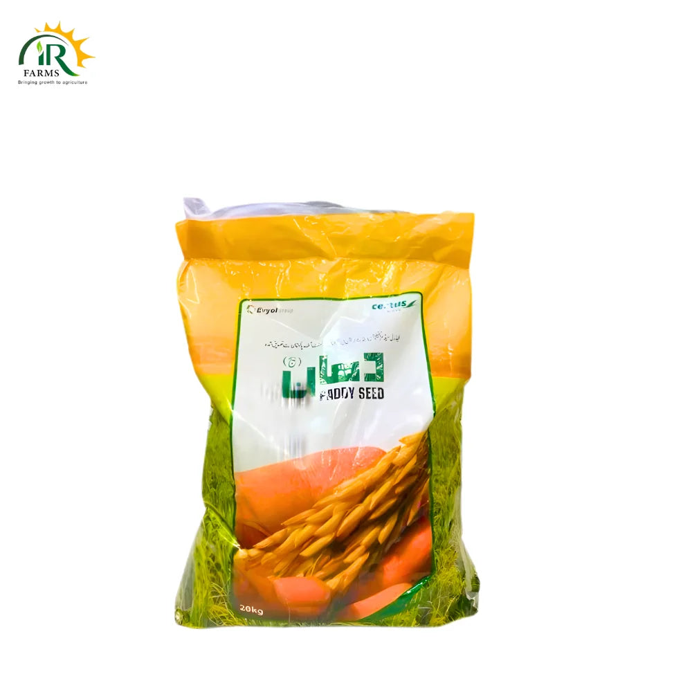 KSK 133 Rice Seed
