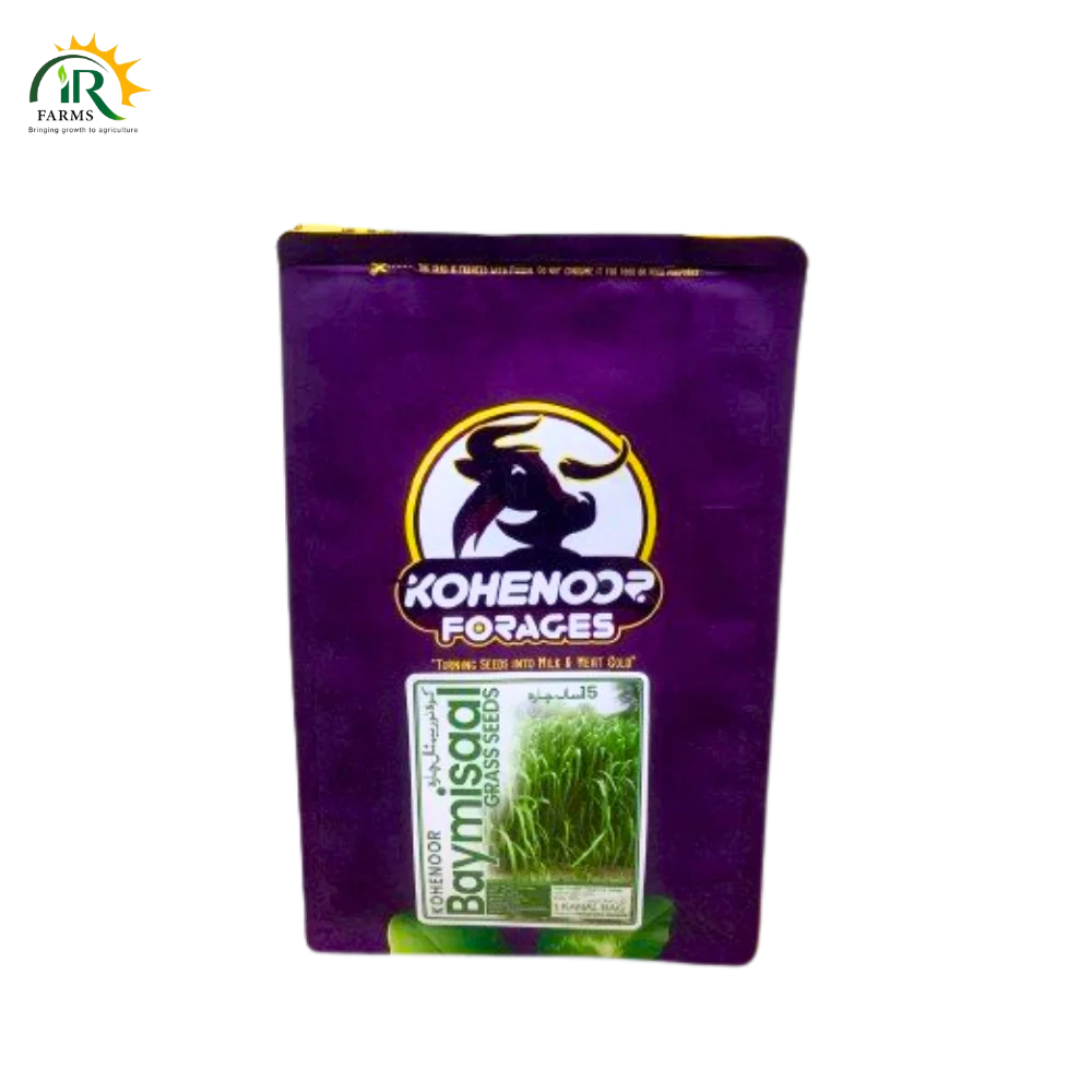 Kohenoor Alfalfa Lucerne Seeds&nbsp;