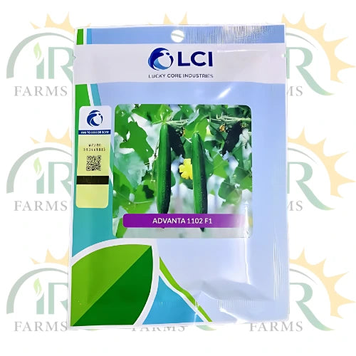 Advanta 1102 F1 Sponge Gourd Seeds - 50g High-Yield Hybrid Quality