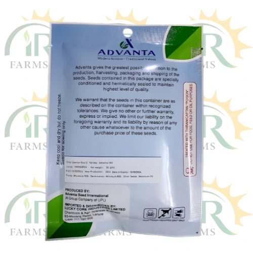 Advanta 1102 F1 Sponge Gourd Seeds - 50g High-Yield Hybrid Quality