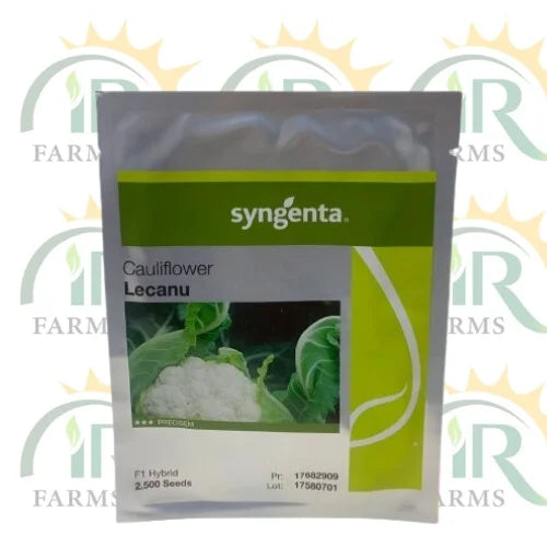 Lecanu F1 Hybrid Cauliflower Seeds Syngenta (Gobi Ka Beej)