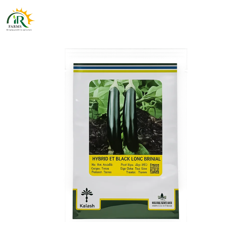 Long Brinjal F1 Hybrid