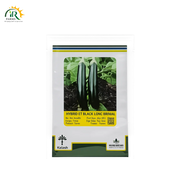 Long Brinjal F1 Hybrid