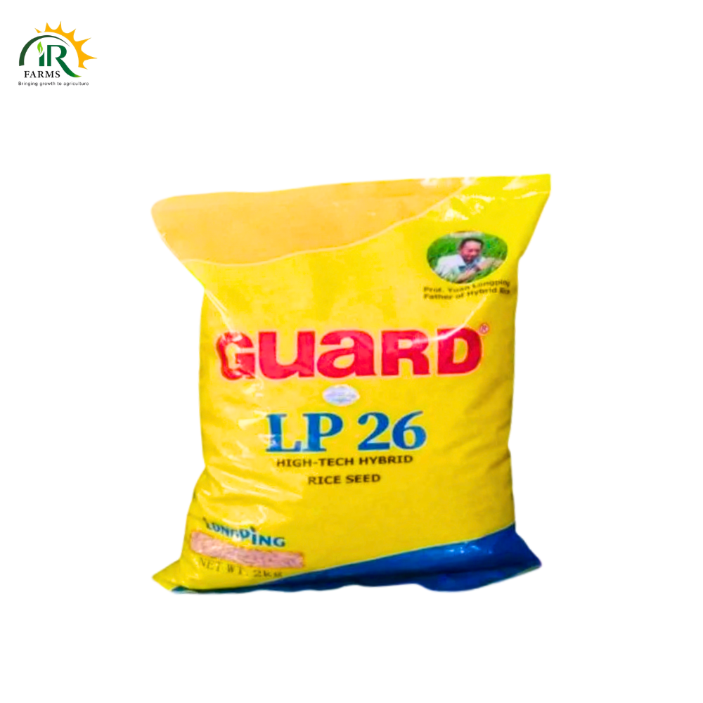 Lp 26 Hybrid Rice Seeds - Long ping Paddy Seed
