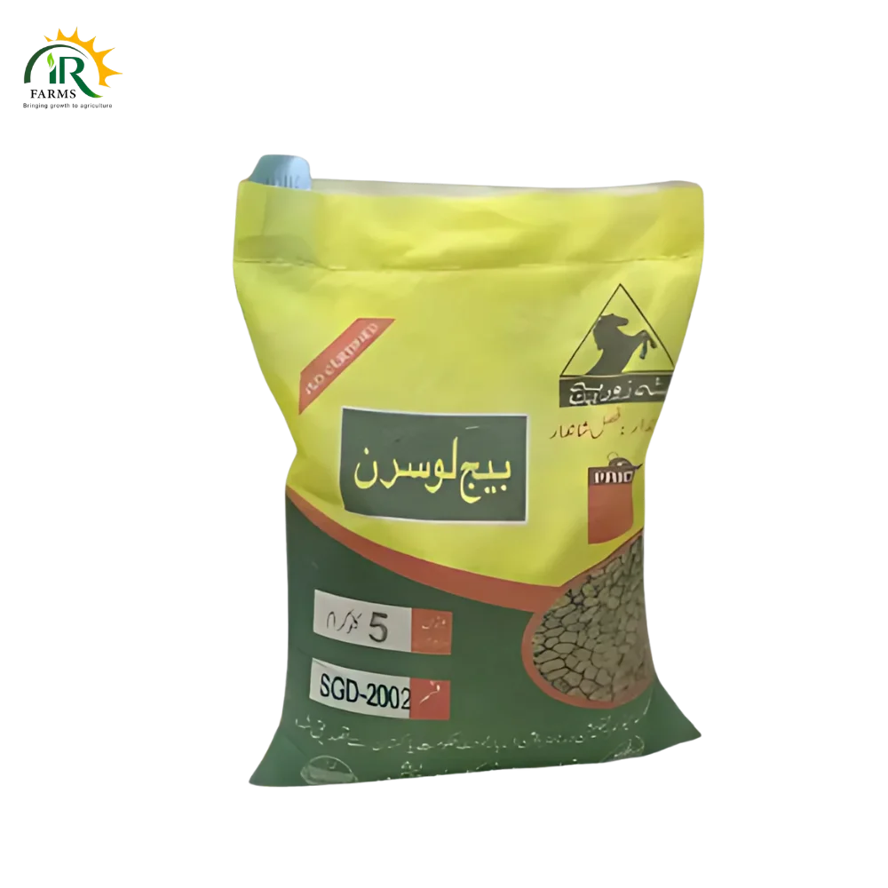Grow Protein-Rich, Nutritious Fodder with Lucerne (SGD 2002) – Trusted by Farmers
