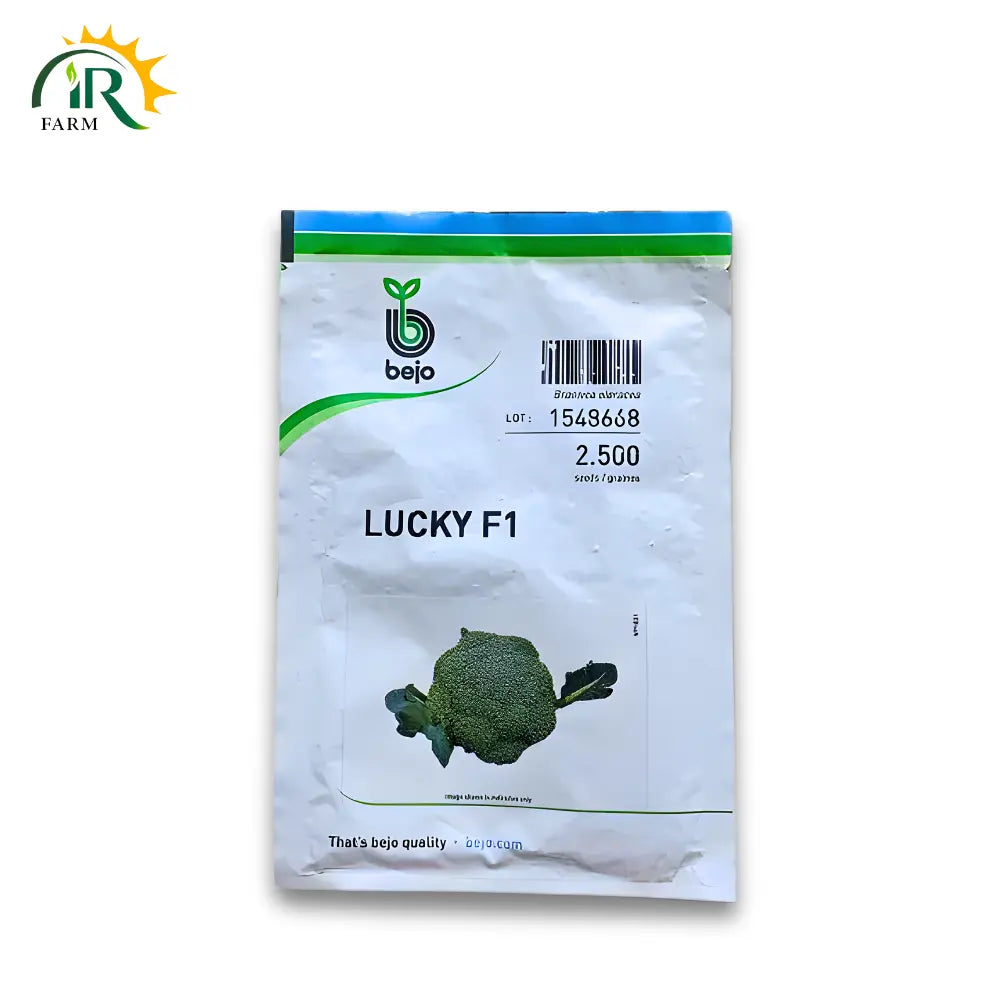 Lucky F1 Broccoli Seeds - Perfect Hybrid Seeds for Kitchen Gardening at Home