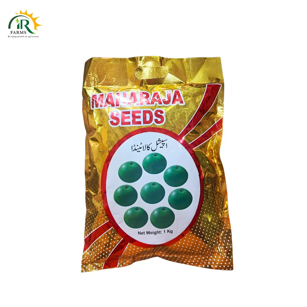 Special Kala Tinda Seed by Maharaja Seeds