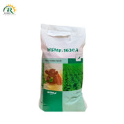 HSMF-1630A Maize Fodder Seeds – High-Yielding 20kg Pack by Evyol Group for Premium Corn Silage