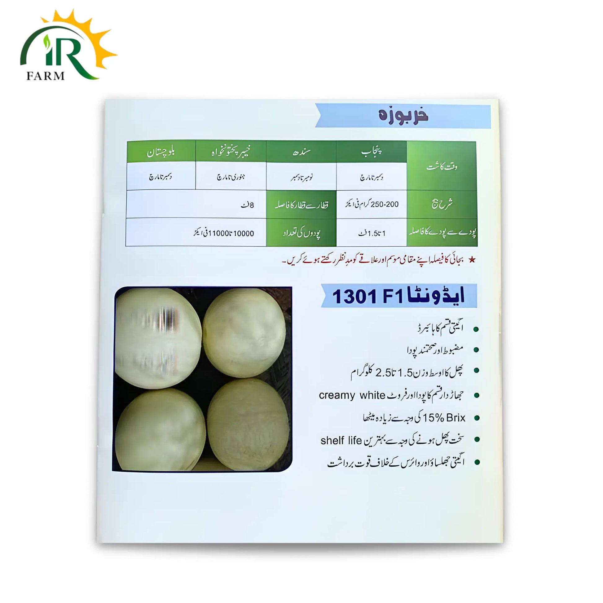 Melon 1301 F1 Hybrid Seeds