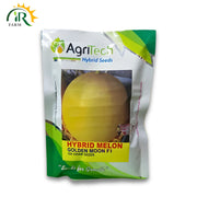 Hybrid Melon Golden Moon F1 Seeds