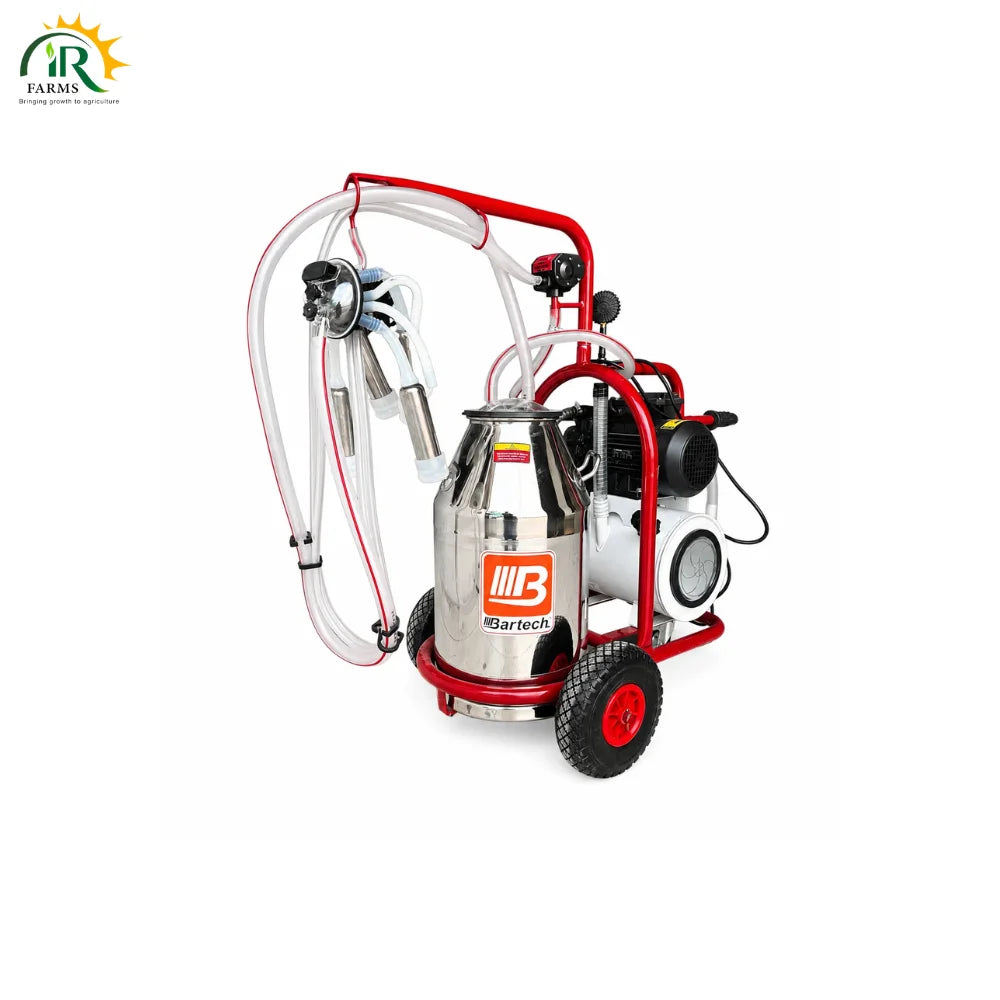 Milking Machine Single Bucket Turkish Imported : 40L SS-304 Food Grade Bucket Automatic Cow Milking System