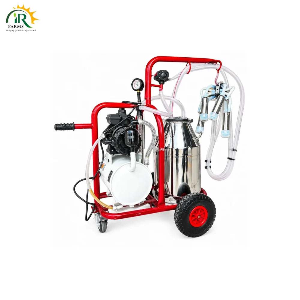 Milking Machine Single Bucket Turkish Imported : 40L SS-304 Food Grade Bucket Automatic Cow Milking System