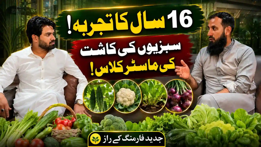 moonagro podcast
