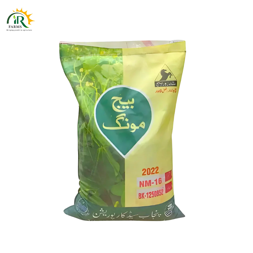 Moong Seed Azri 21 / Jumbo Mung Bean – 2024 Model (10KG Pack) By Punjab Seed Corporation
