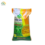 NARC Super Wheat Seed – Trusted Barani Wheat Variety for Maximum Yield