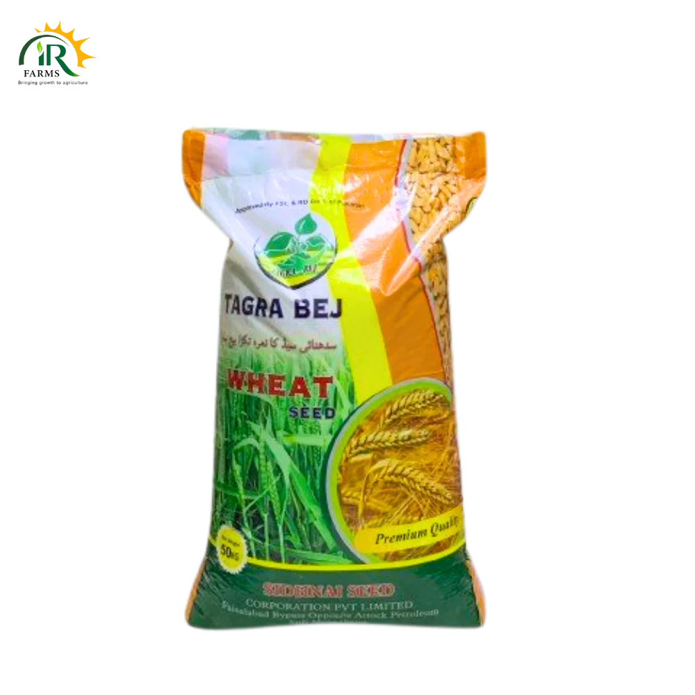 NARC Super Wheat Seed – Trusted Barani Wheat Variety for Maximum Yield