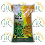 NARC Super Wheat Seed 50kg – Tagra Barani Variety | گندم کا بیج | Global Products