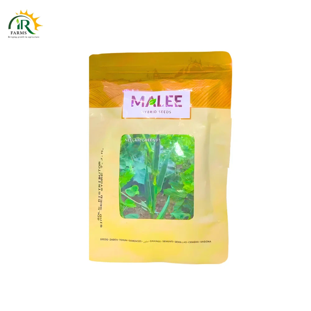 Neelam Green F1 Bhindi
