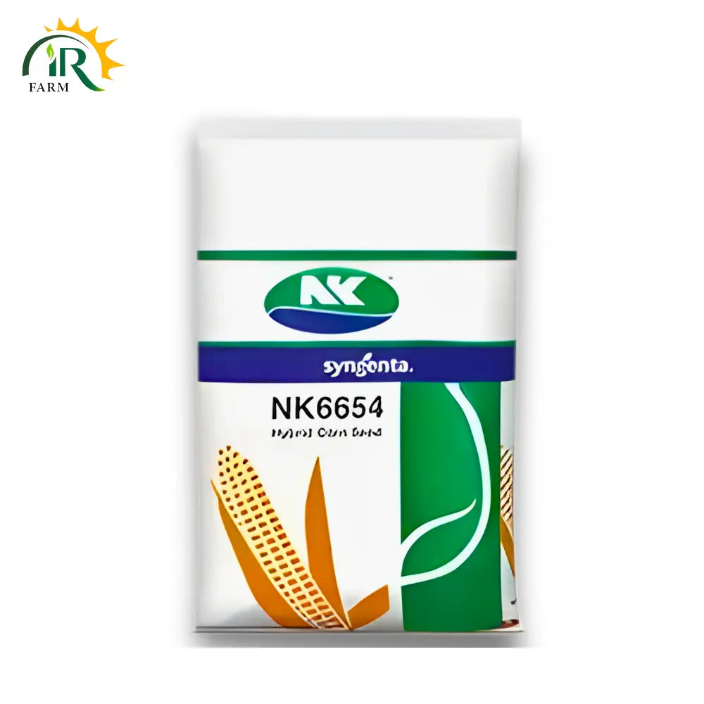 Nk 6654 Corn Seed - Premium Hybrid Seed for High Yield and Superior Growth