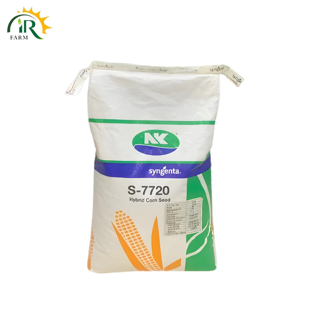 Nk 7720 Corn Seed Hybrid 10kg Syngenta - Top Yielding Maize Seed Variety for Autumn Sowing