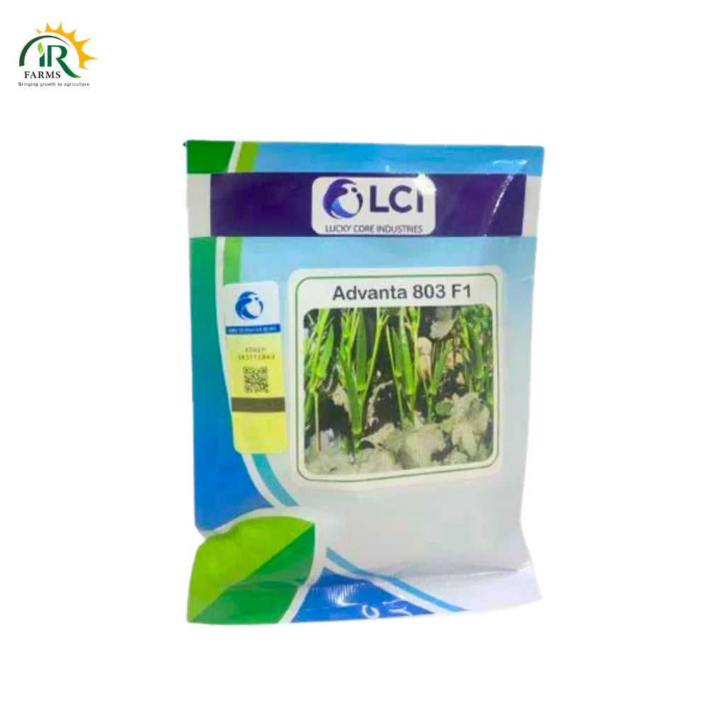 Okra Advanta 803 F1 LCI Pakistan 