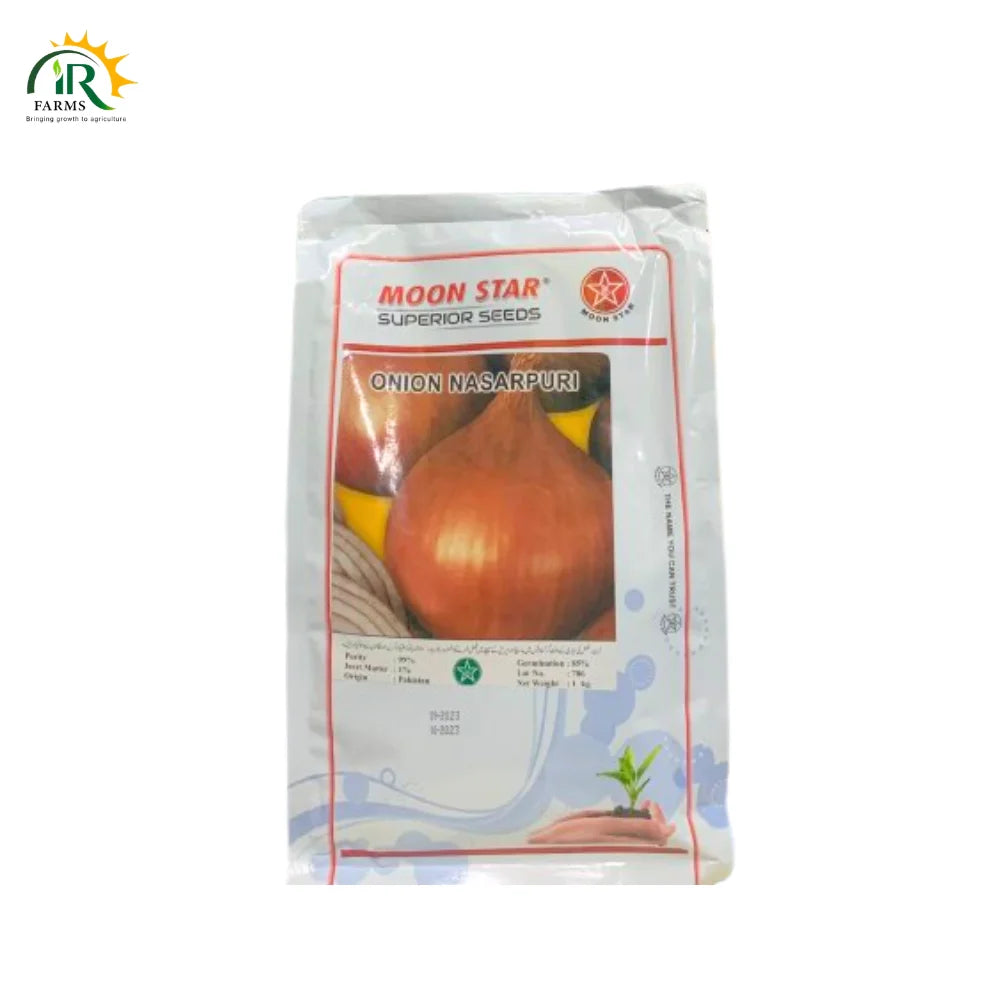 Premium Nasarpuri Onion Seed – High Purity, Excellent Germination, Trusted Yield