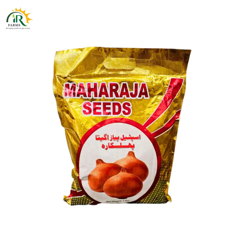 Onion Seed Phulkara