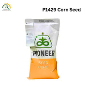P1429 Hybrid Corn Seed Pioneer Brand 35000 Kernels Corteva Spring Corn Corteva P 1429 Maize Seed