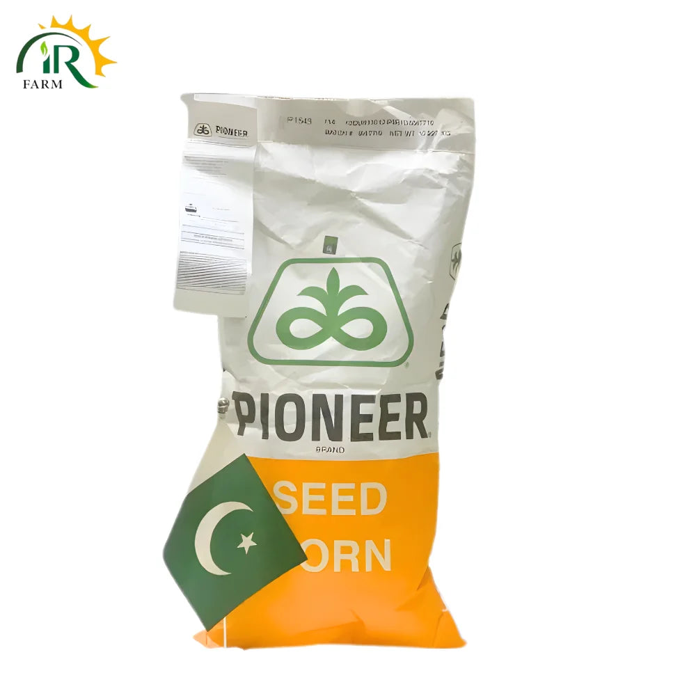 P2088 Hybrid Corn Seed