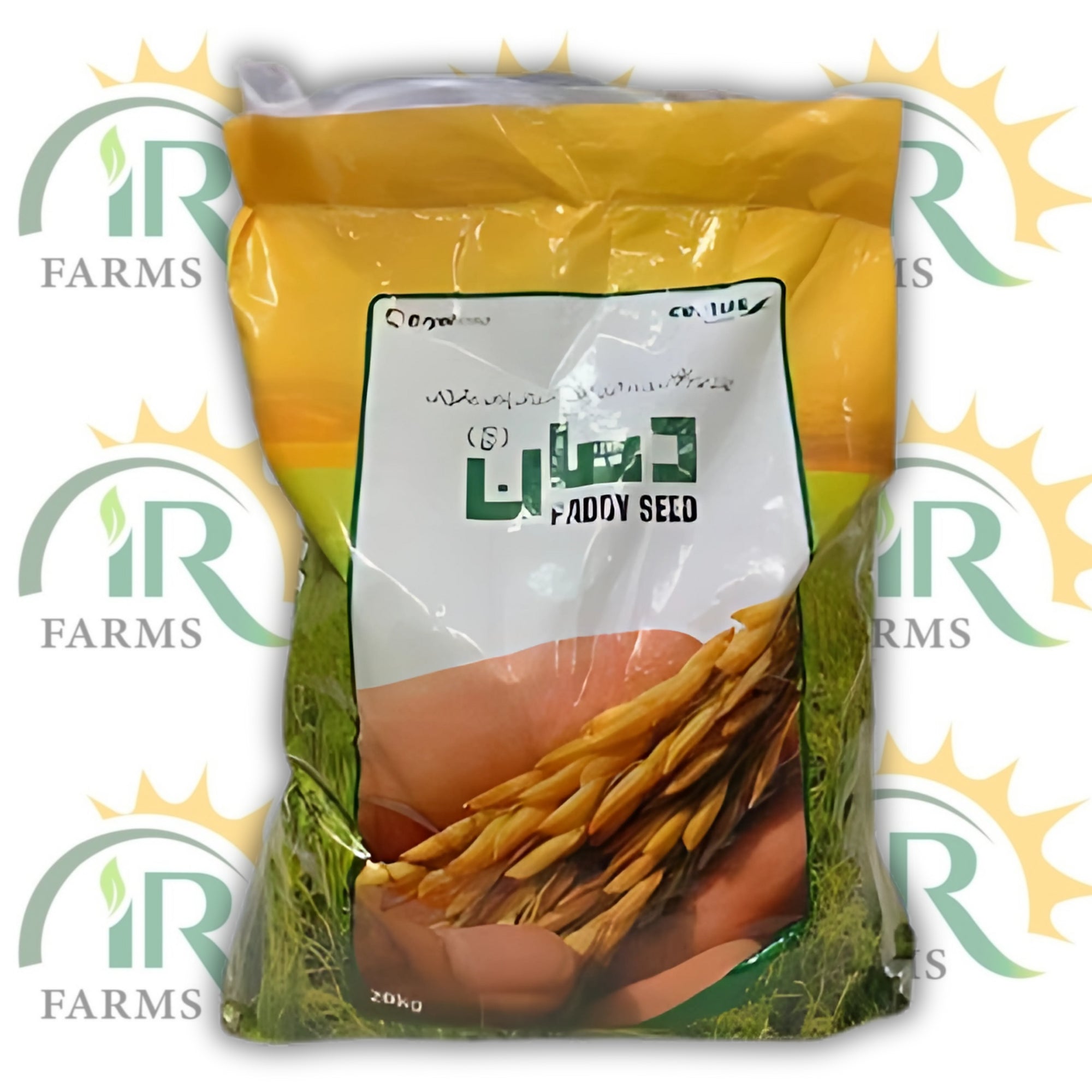 PB 07 Pusa Basmati Rice Seed – 5kg Beej Munji Chawal for Early Sowing | Evyol Group