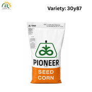 Pioneer 30Y87 Hybrid Corn Seed 