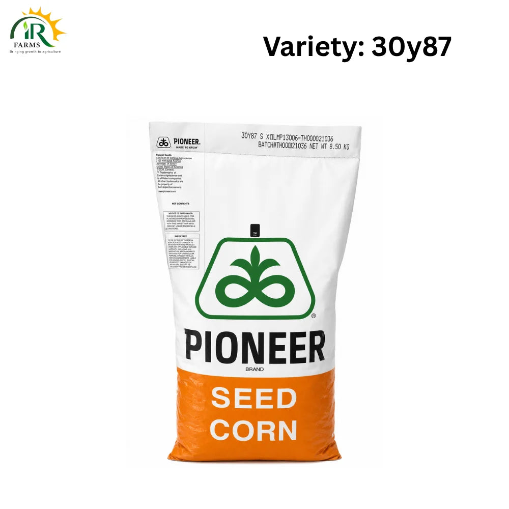 Pioneer 30Y87 Hybrid Corn Seed 