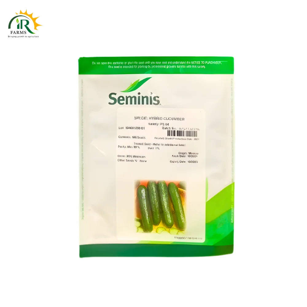PS 64 F1 Hybrid Cucumber Seeds – 500 Seeds